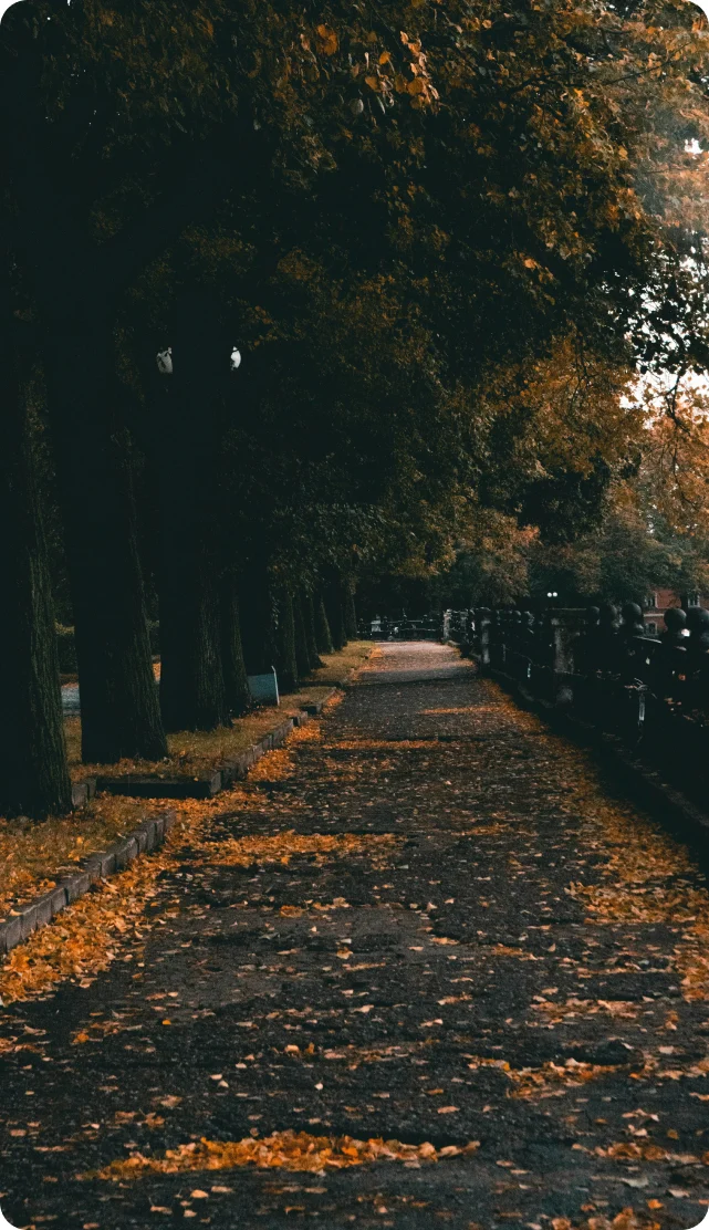 ce que nous mettons en place