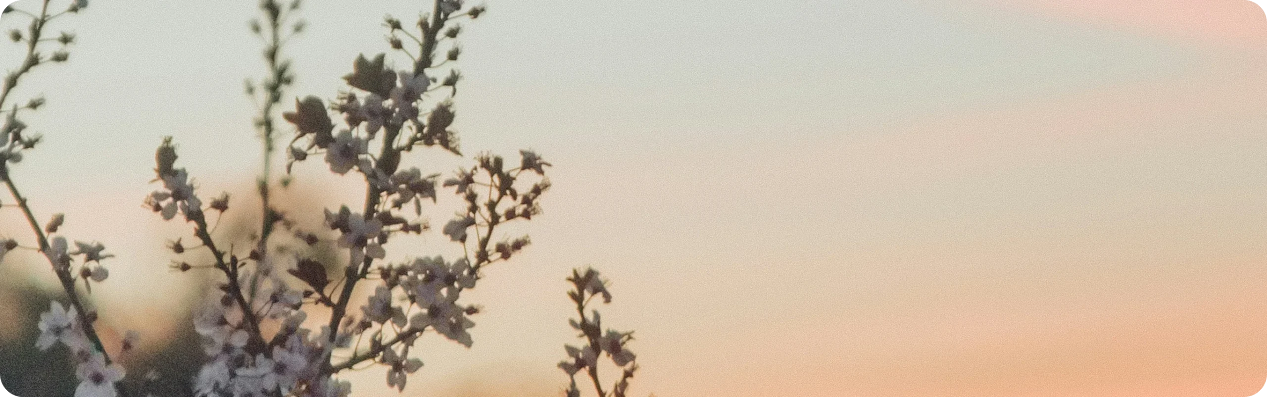 hero contact tilmant scaled